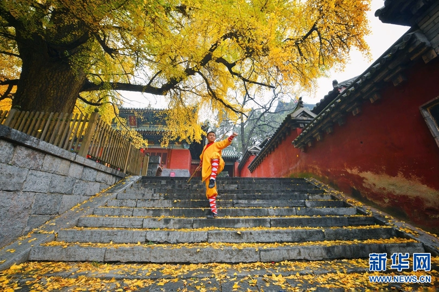  老家河南网-初冬的少林寺是一抹动人心魄的美