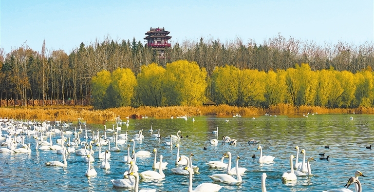 河南冬游- 老家河南网