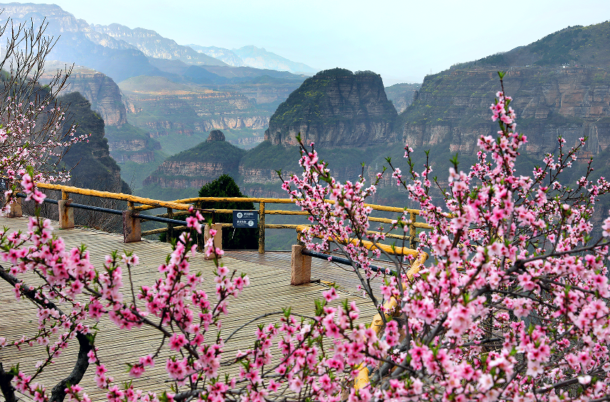 春色太行- 老家河南网