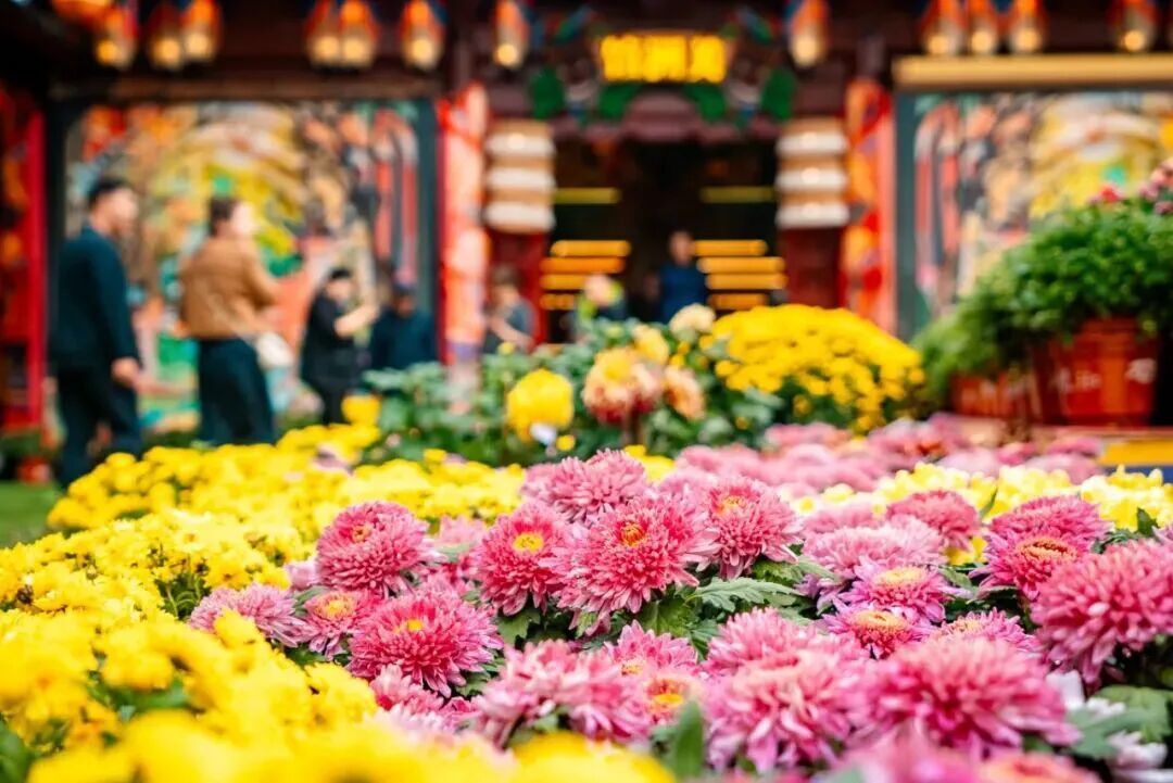 菊香开封- 老家河南网
